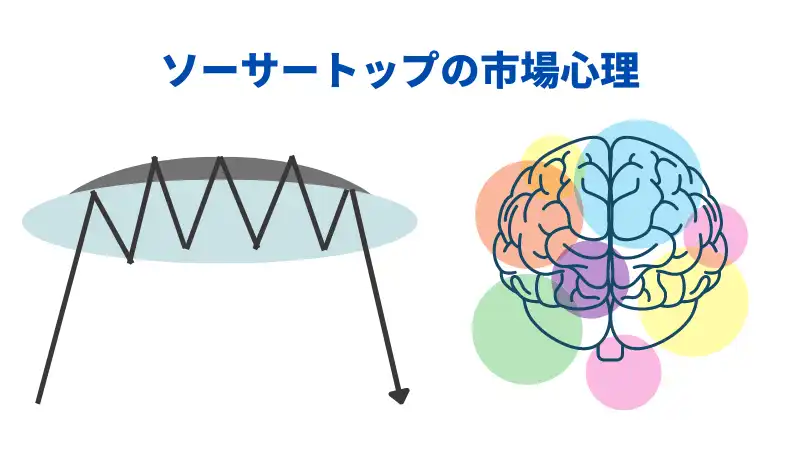 ソーサートップ・ソーサーボトム3