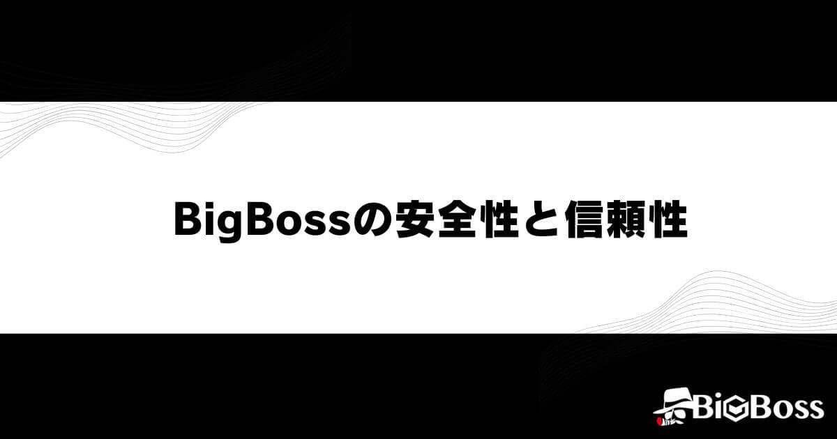 BigBoss(ビッグボス)の安全性と信頼性