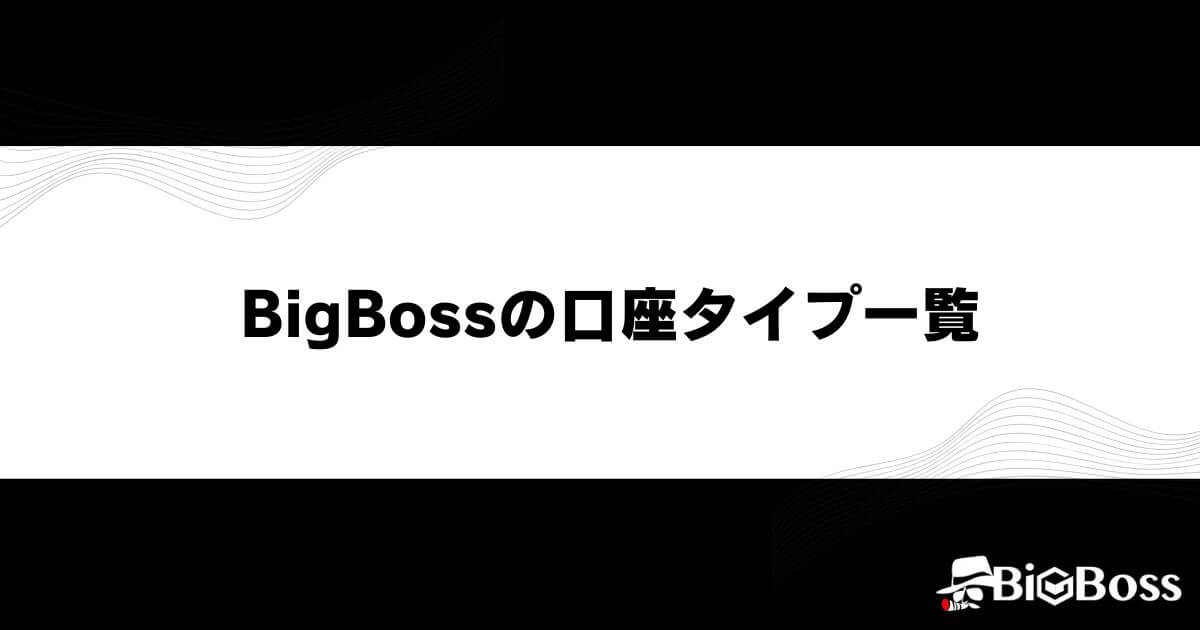 BigBoss(ビッグボス)の口座タイプ一覧
