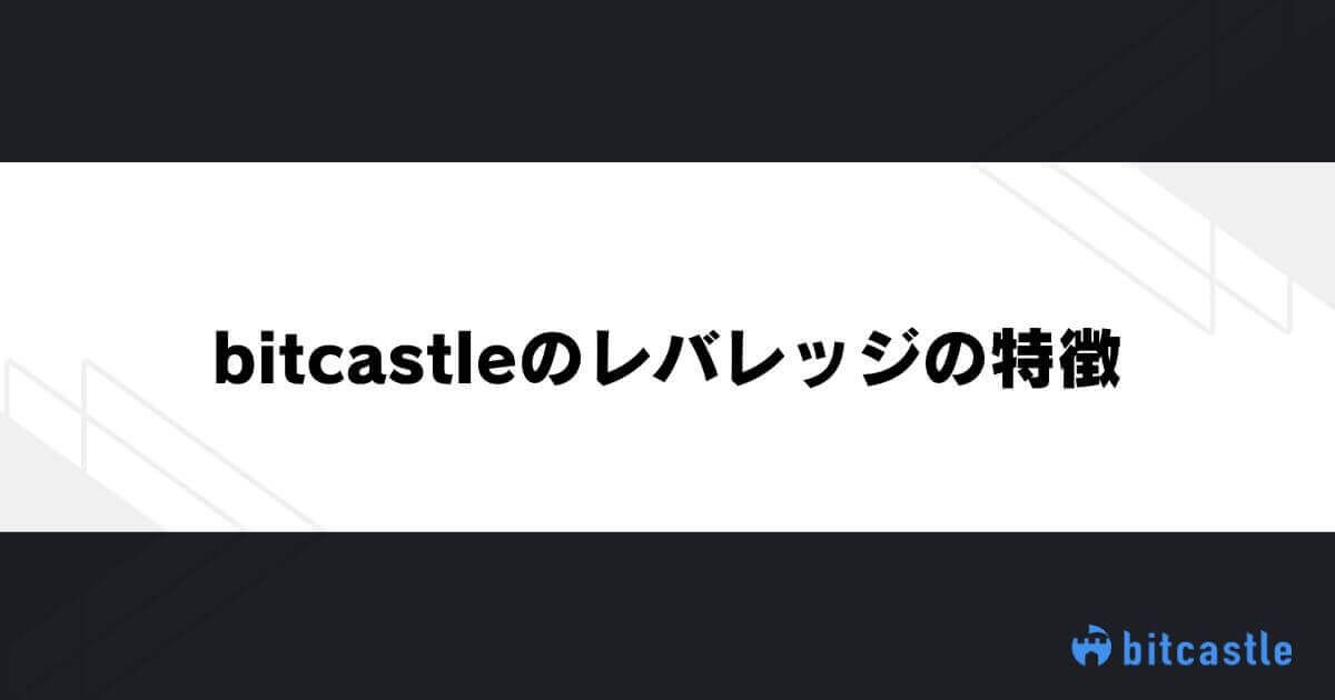 bitcastleのレバレッジの特徴