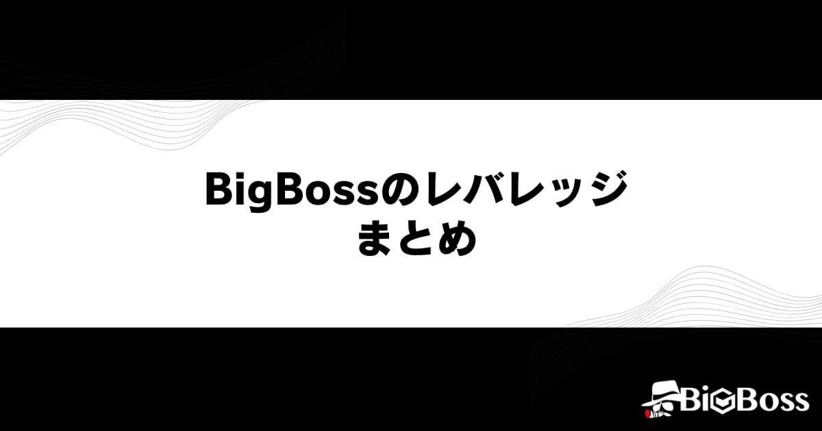 BigBossのレバレッジまとめ