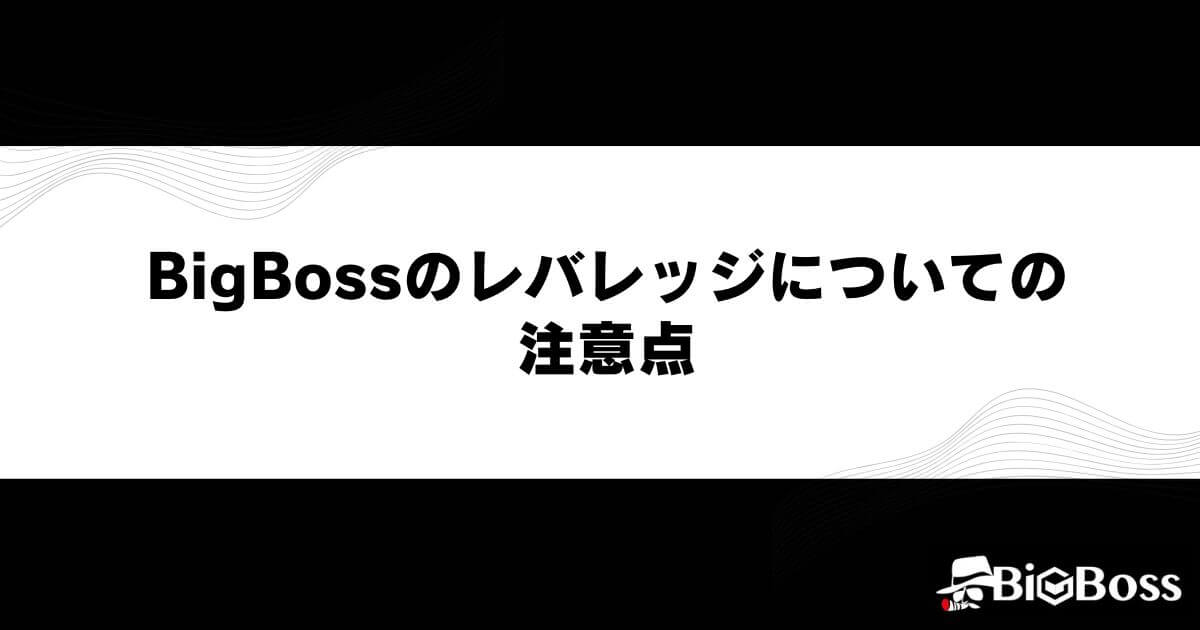 BigBossのレバレッジについての注意点