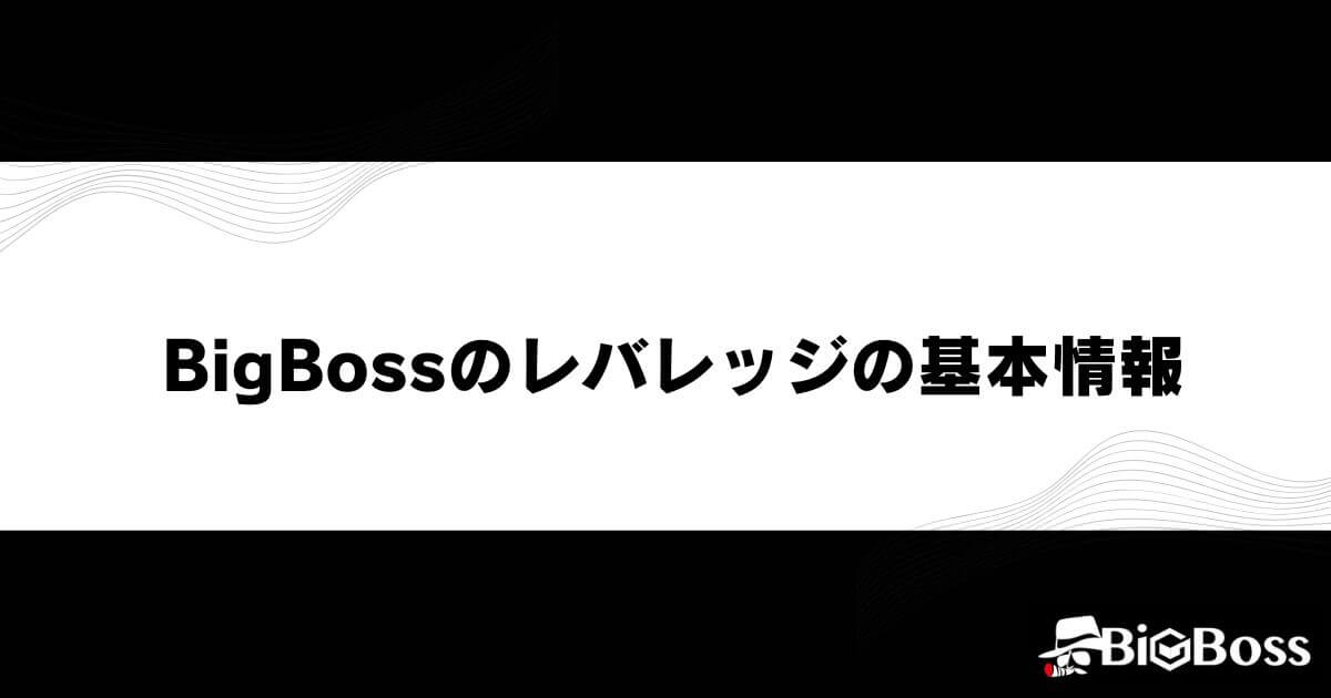 BigBossのレバレッジの基本情報