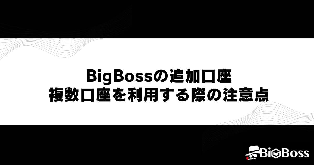BigBossの追加口座・複数口座を利用する際の注意点