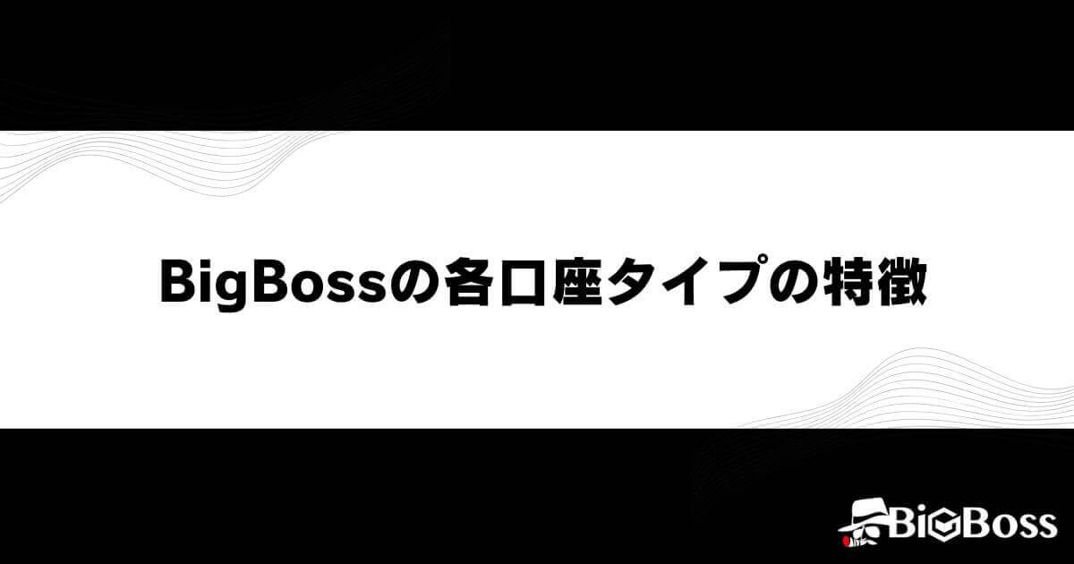 BigBossの各口座タイプの特徴