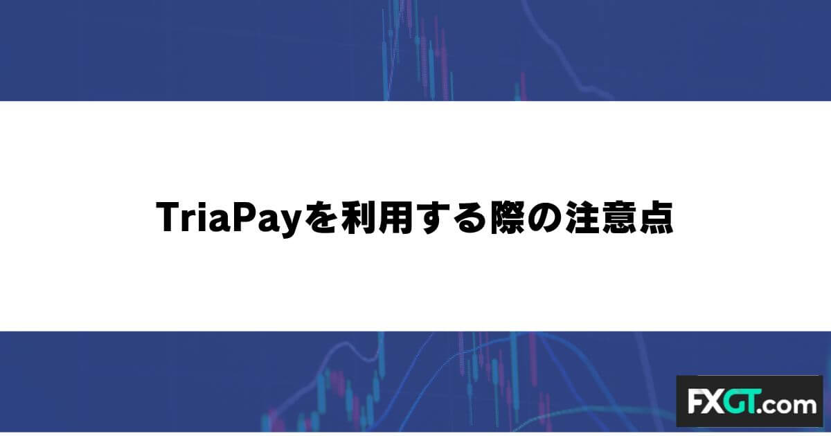 TriaPayを利用する際の注意点